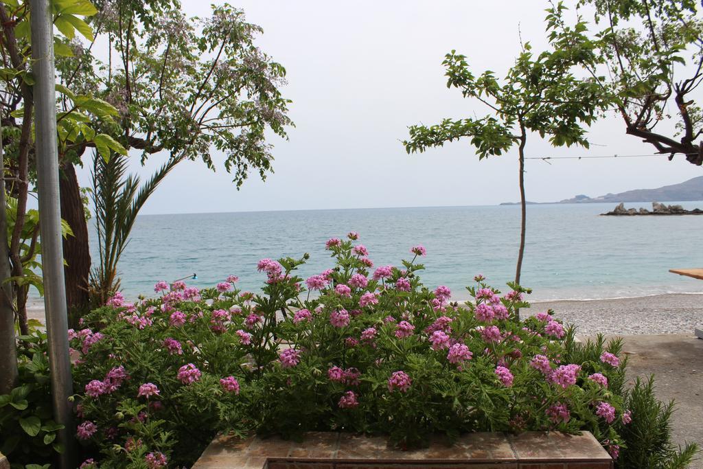 Dream View Apartment