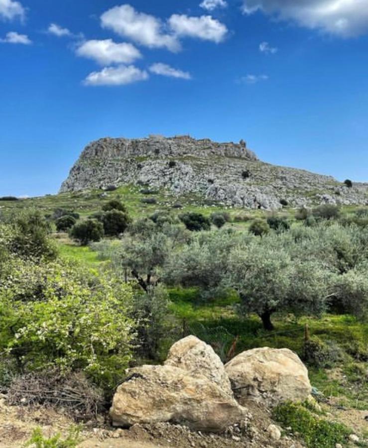 Dream View Διαμέρισμα *